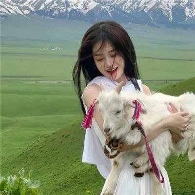 情感短线：婚庆小队